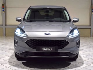 FORD Kuga 1.5 EcoBlue 120 CV aut. 2WD Connect 1