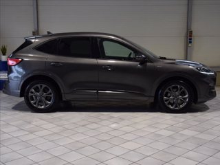 FORD Kuga 2.0 ecoblue mhev ST-Line 2wd 150cv 3