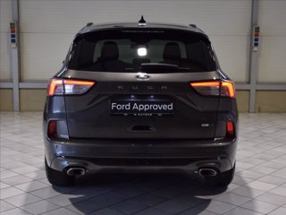 FORD Kuga 2.0 ecoblue mhev ST-Line 2wd 150cv 5