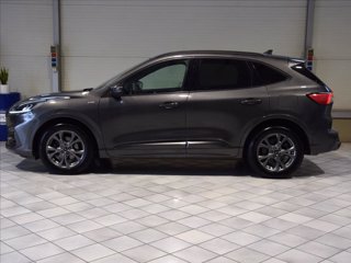 FORD Kuga 2.0 ecoblue mhev ST-Line 2wd 150cv 7